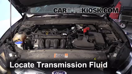 Transmission Fluid Level Check Ford Fusion (2013-2019) - 2014 Ford